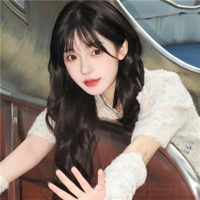 鸣鸿传